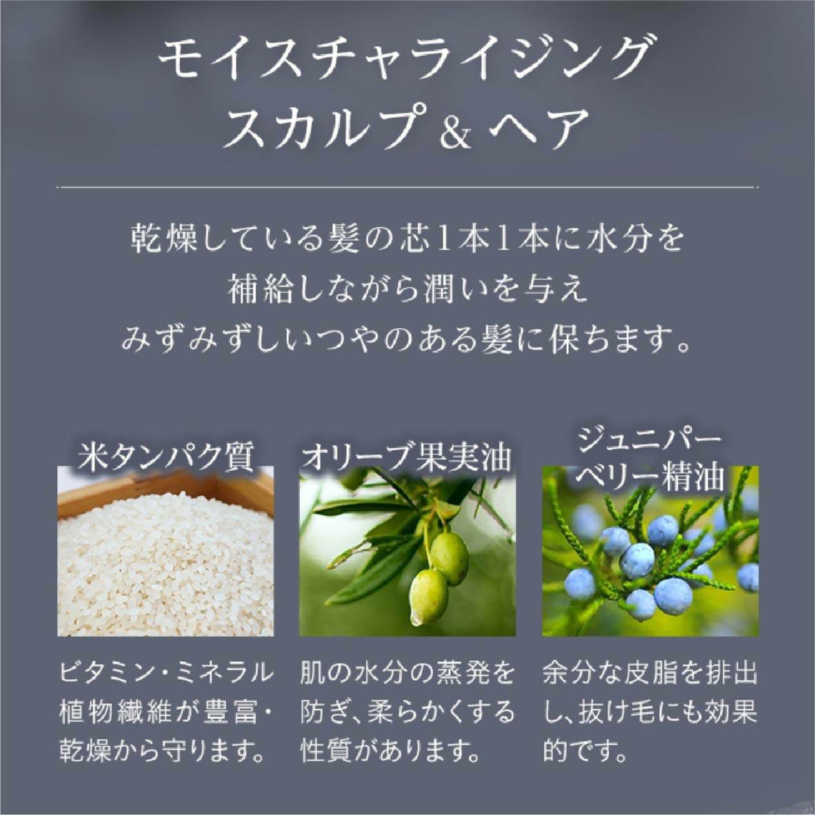リブインコンフォート PIANTE FELICI (ピアンテフェリーチ) オーガニックシャンプー スカルプ&ヘア ドライヘア用