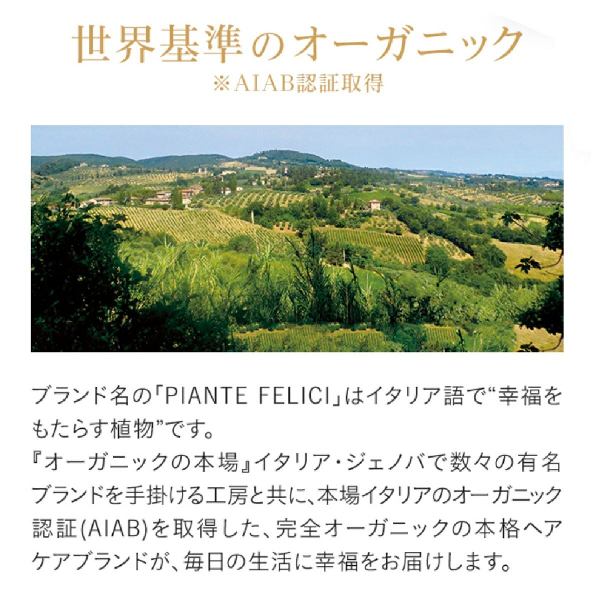 リブインコンフォート PIANTE FELICI (ピアンテフェリーチ) オーガニックシャンプー スカルプ&ヘア ドライヘア用