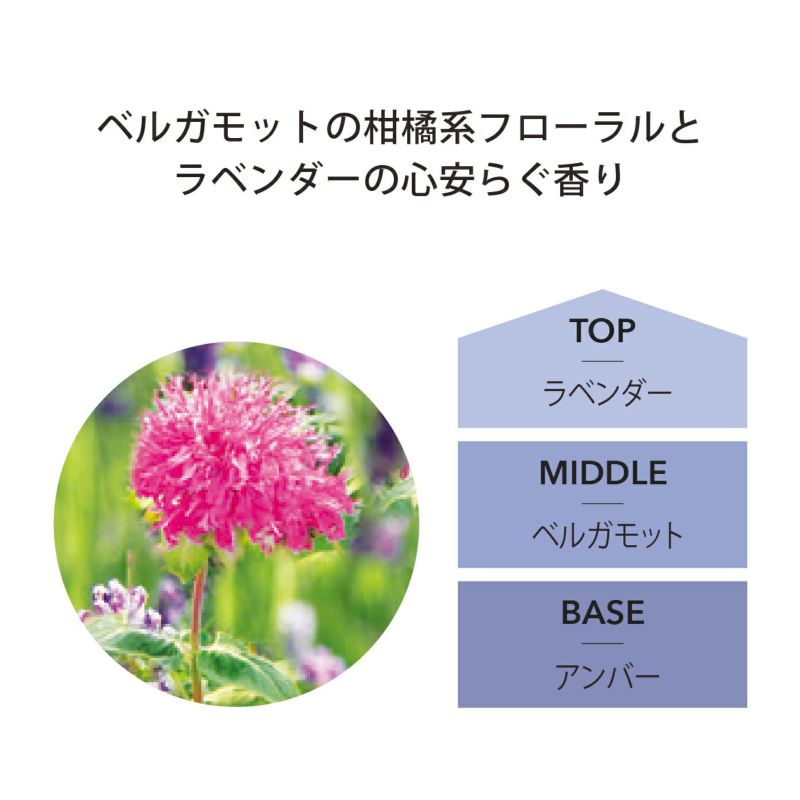 リブインコンフォート Ashleigh&Burwood(アシュレイ&バーウッド) リードディフューザー 100ml ラベンダー&ベルガモット