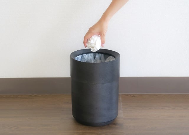 BUNACO 袋が見えないダストボックス ブラック